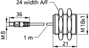 22.webp