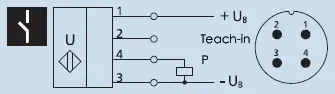 PNP.webp